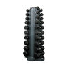 Rubber Hex Dumbbells with Vertical Rack