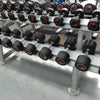 Life Fitness Dumbbells with rack