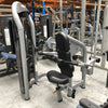 Cybex Seated Dip Machine